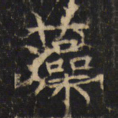 藻书法图片