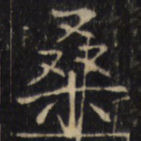 桑书法图片