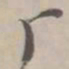厂书法图片