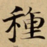 種书法图片