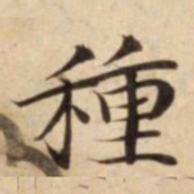 種书法图片