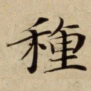 種书法图片
