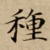 種书法图片