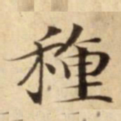 種书法图片