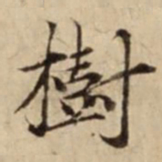 樹书法图片