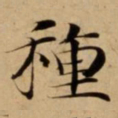 種书法图片