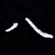 田红武八书法图片