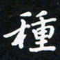 曹云松种书法图片