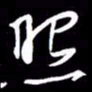 金海东照书法图片