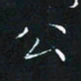 田聪公书法图片