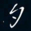 陈志旭夕书法图片