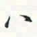 潘伟八书法图片