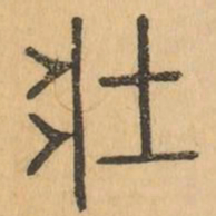 壮书法图片