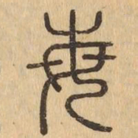 每书法图片