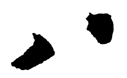 启功八书法图片