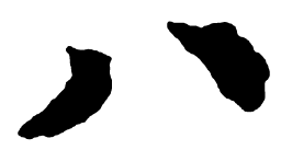 启功八书法图片
