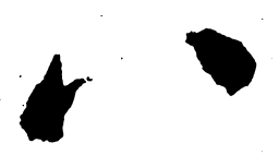 启功八书法图片