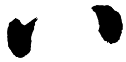 启功八书法图片
