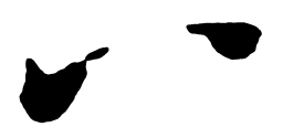 启功八书法图片