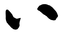 启功八书法图片