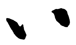 启功八书法图片