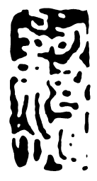 鸟虫篆级书法图片