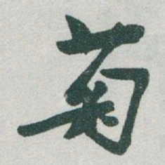 于右任菊书法图片