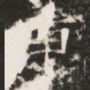 庚书法图片