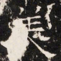 羙书法图片