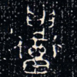 金文召书法图片