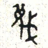 金文蔑书法图片