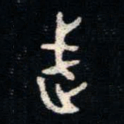 金文武书法图片