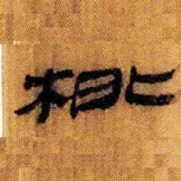 北大汉简根书法图片