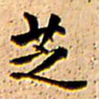 王铎芝书法图片