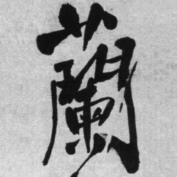 王铎兰书法图片
