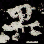 魏碑果书法图片