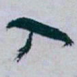 白蕉入书法图片