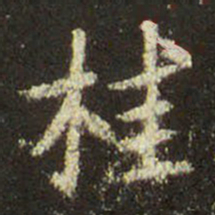王羲之桂书法图片