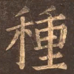 颜真卿种书法图片