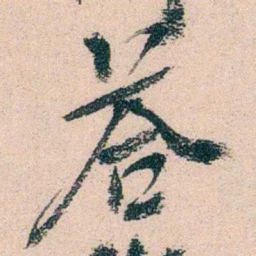 陈衍荅书法图片
