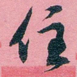 黄尔恺住书法图片