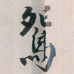 龙志泽鴛书法图片