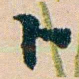 叶大庄卜书法图片