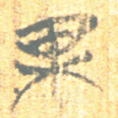 上博简果书法图片