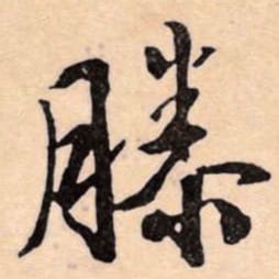 文征明滕书法图片