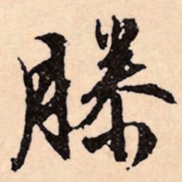文征明滕书法图片