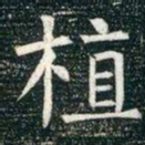 柳公权植书法图片