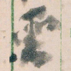 王蘧常聖书法图片