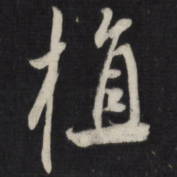 祝允明植书法图片