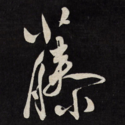 徐渭藤书法图片